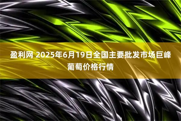 盈利网 2025年6月19日全国主要批发市场巨峰葡萄价格行情