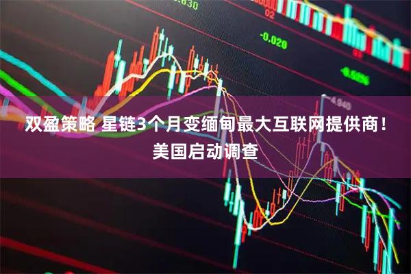 双盈策略 星链3个月变缅甸最大互联网提供商!美国启动调查