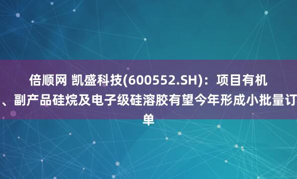 倍顺网 凯盛科技(600552.SH)：项目有机硅、副产品硅烷及电子级硅溶胶有望今年形成小批量订单