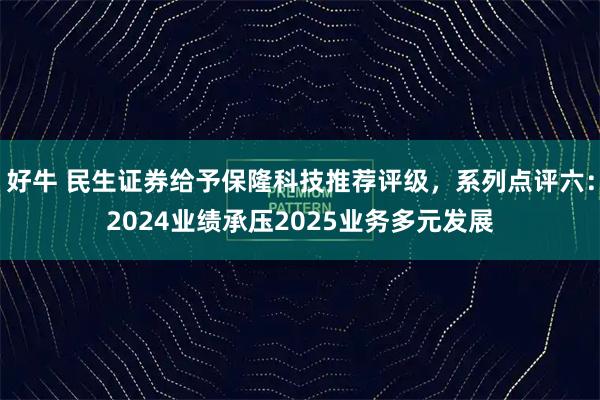 好牛 民生证券给予保隆科技推荐评级，系列点评六：2024业绩承压2025业务多元发展