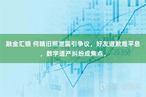 融金汇银 何晴旧照泄露引争议，好友道歉难平息，数字遗产纠纷成焦点。