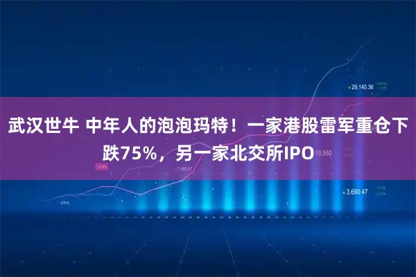 武汉世牛 中年人的泡泡玛特!一家港股雷军重仓下跌75%,另一家北交所IPO