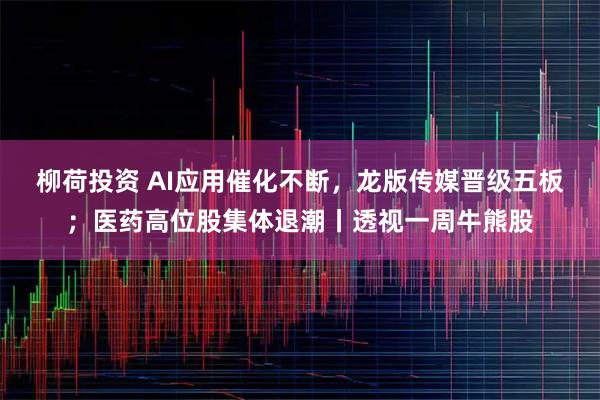 柳荷投资 AI应用催化不断，龙版传媒晋级五板；医药高位股集体退潮丨透视一周牛熊股